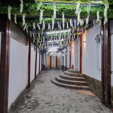 Pensiunea Casa Ober * בראשוב