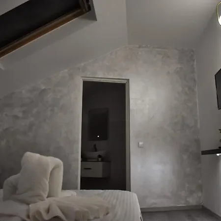 Pensionat Pensiunea Casa Ober *