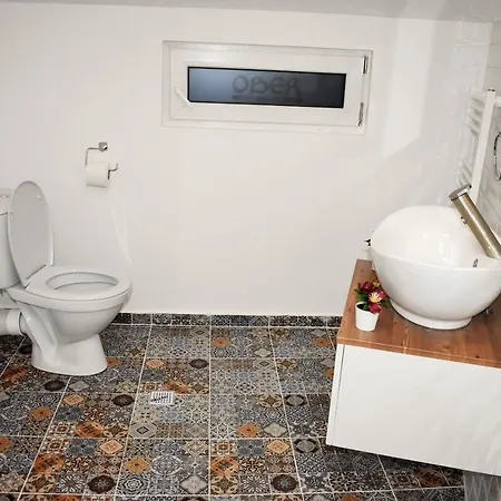 בית הארחה Pensiunea Casa Ober