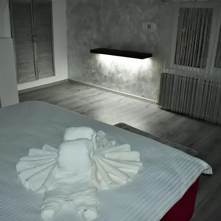 Guest house Pensiunea Casa Ober Brasov