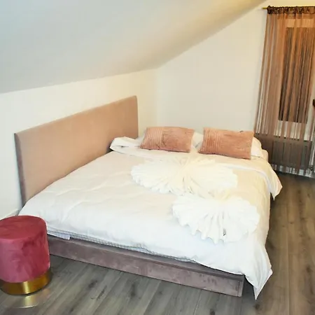 בית הארחה Pensiunea Casa Ober *