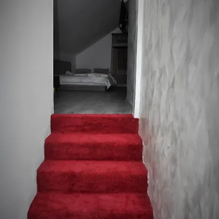 Pensiunea Casa Ober