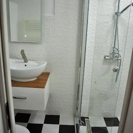 Pensiunea Casa Ober *