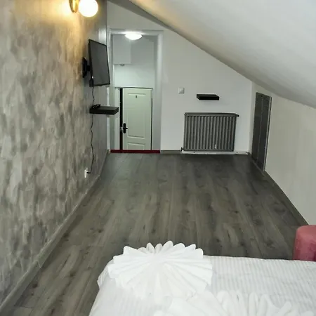 Pensiunea Casa Ober בית הארחה *
