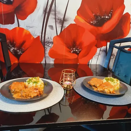 Pensiunea Casa Ober Guest house Brasov