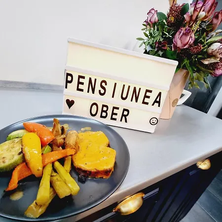 Pensiunea Casa Ober