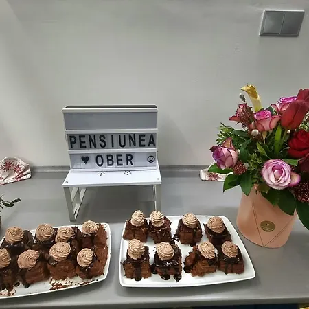 בית הארחה Pensiunea Casa Ober *