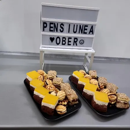 Guest house Pensiunea Casa Ober *