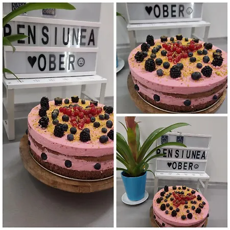 Pensiunea Casa Ober *