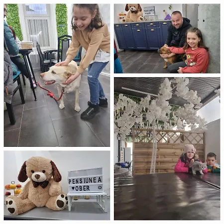 Guest house Pensiunea Casa Ober *